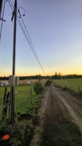 empalme electrico aereo vivienda rural chiscaihue rio bueno smart electricidad